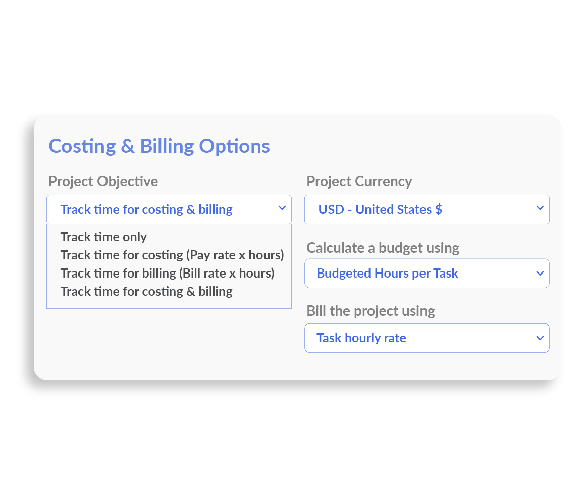 Project Costing and Budgeting Options